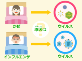 薬剤耐性菌に関する啓発教育資材ダウンロードのご案内 その他 コラム 学校保健ポータルサイト