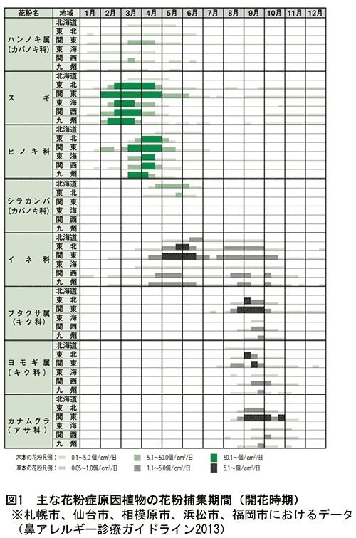 図1 主な花粉症原因植物の花粉捕集期間（開花時期）※札幌市、仙台市、相模原市、浜松市、福岡市におけるデータ（鼻アレルギー診療ガイドライン2013）